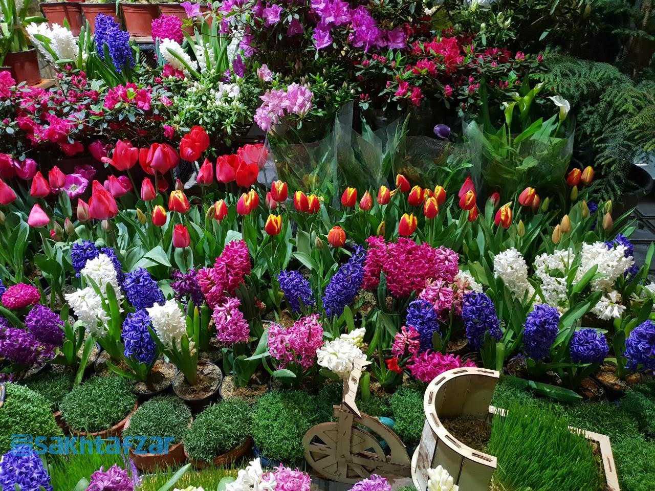 مقایسه دوربین وی 30 پلاس با گلکسی اس 9