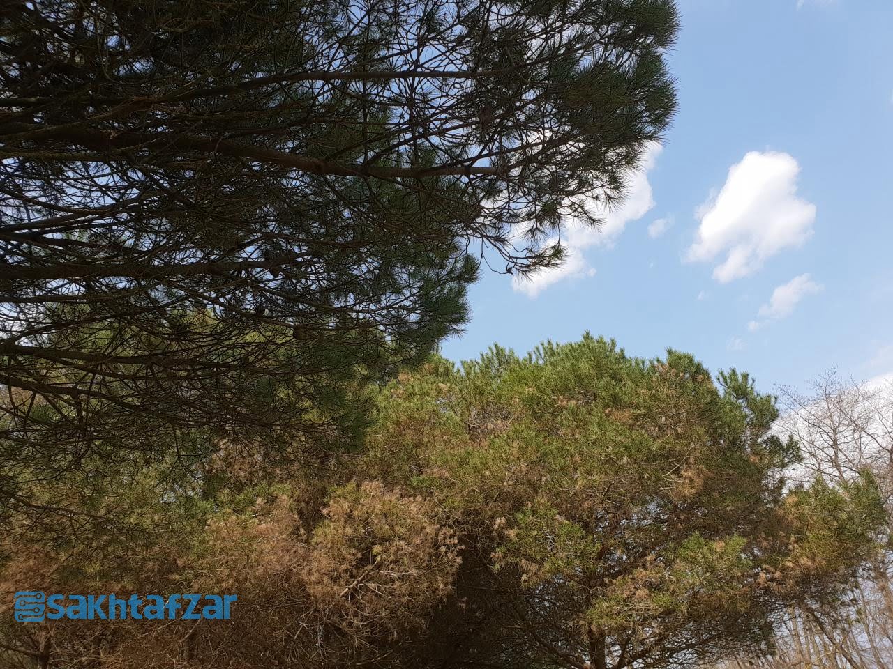 مقایسه دوربین وی 30 پلاس با گلکسی اس 9