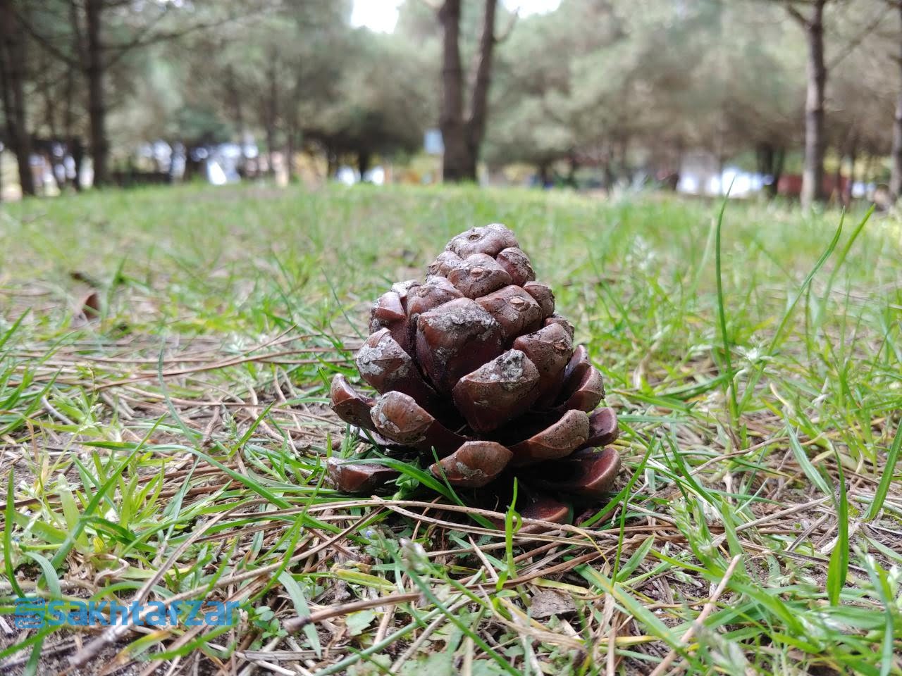 مقایسه دوربین وی 30 پلاس با گلکسی اس 9