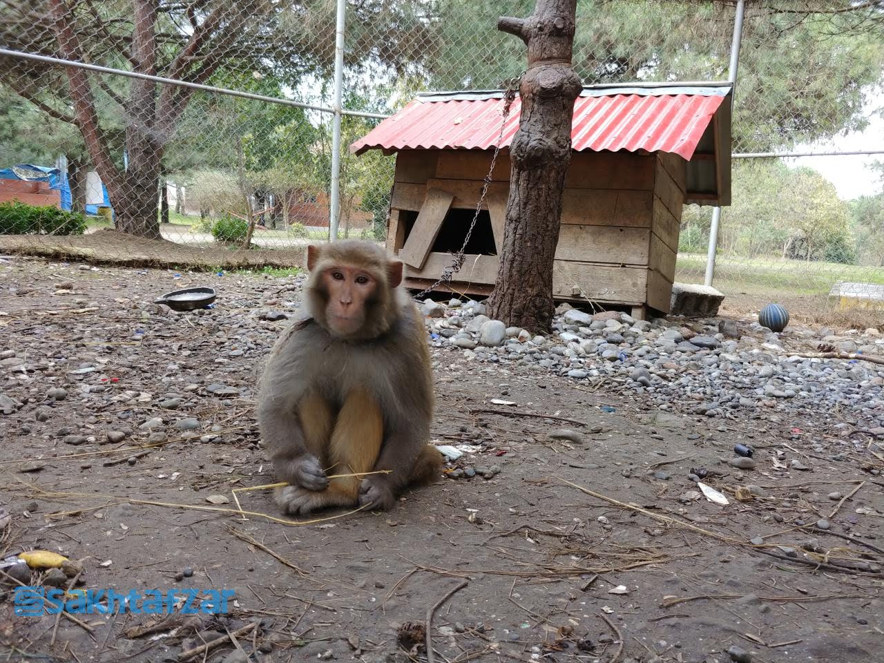 مقایسه دوربین وی 30 پلاس با گلکسی اس 9