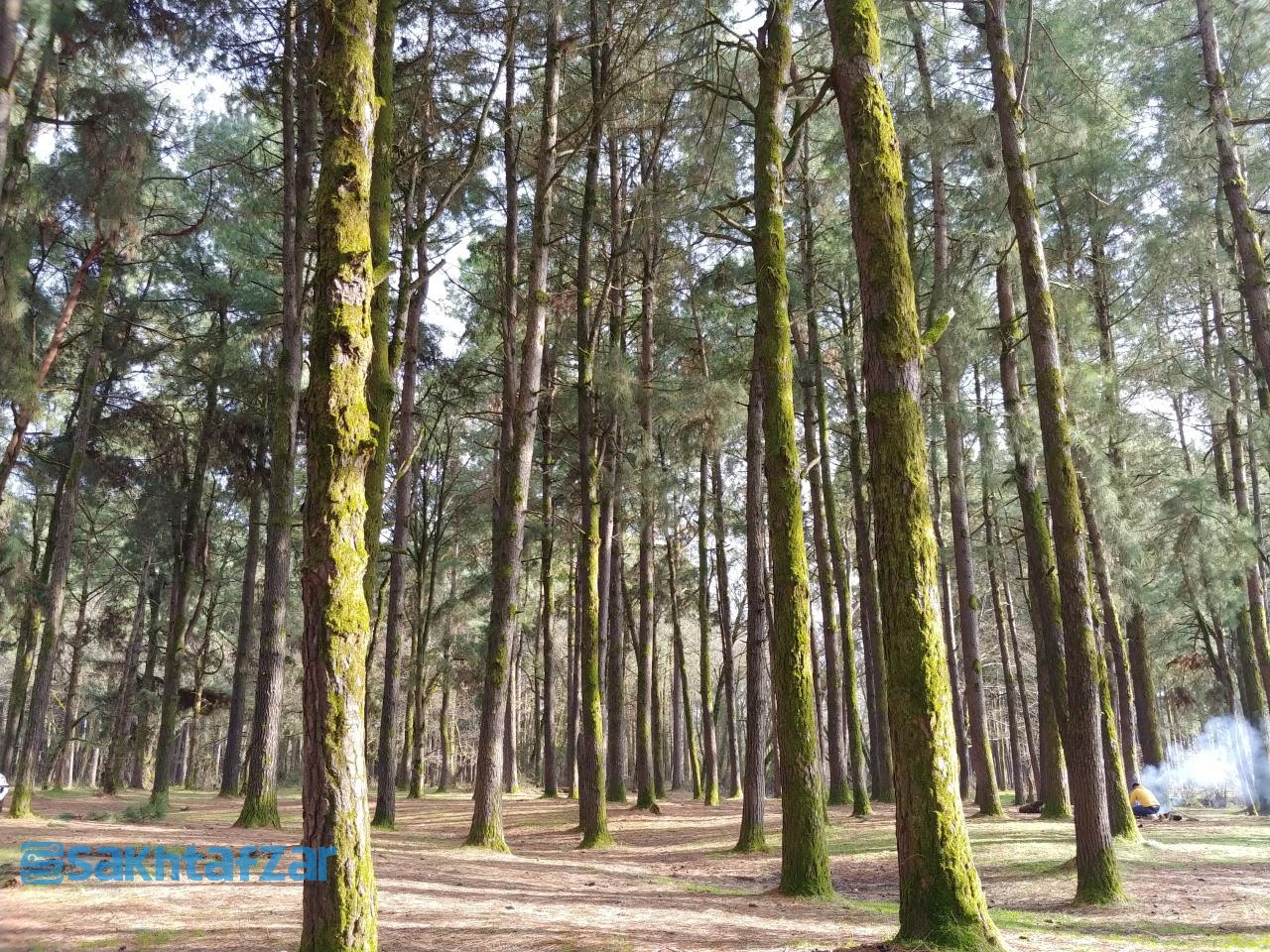 مقایسه دوربین وی 30 پلاس با گلکسی اس 9