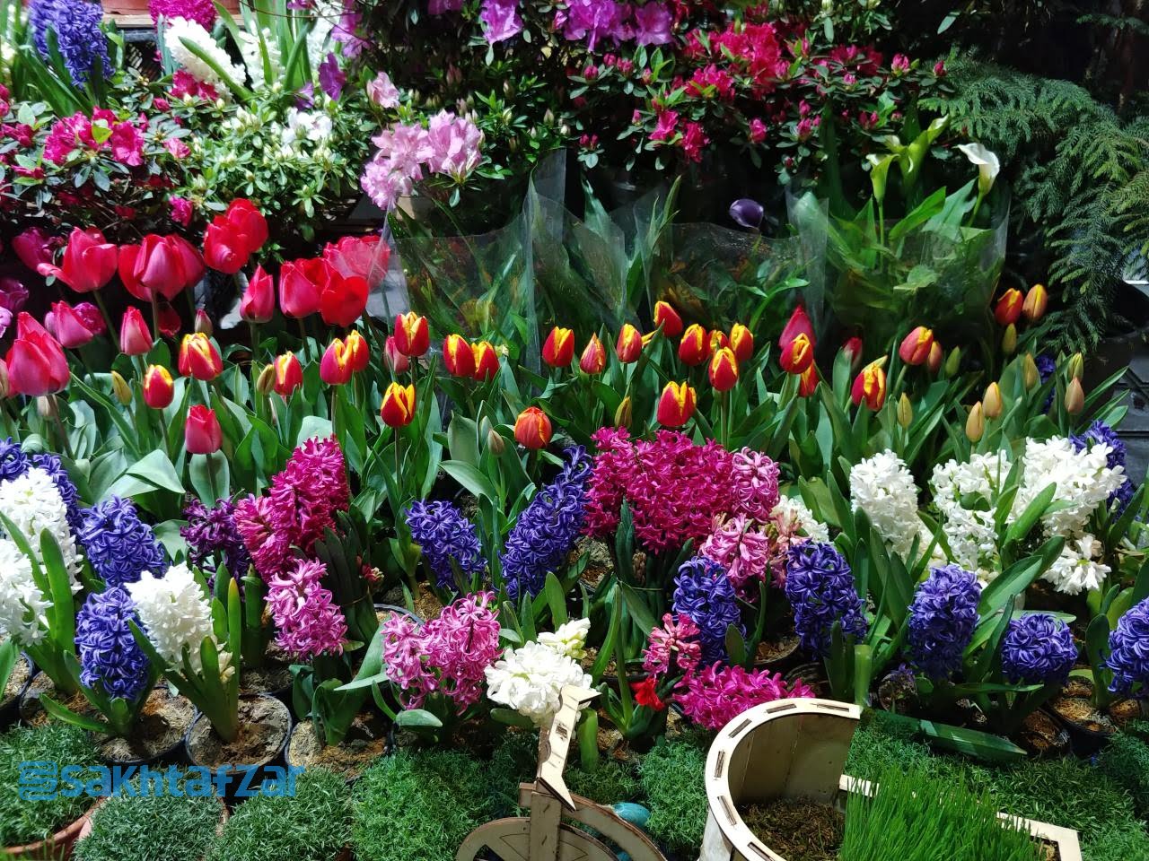 مقایسه دوربین وی 30 پلاس با گلکسی اس 9