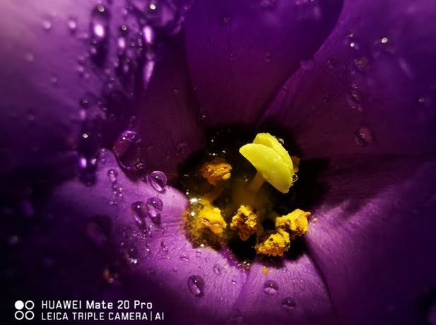 Mate 20 HUAWEI pro