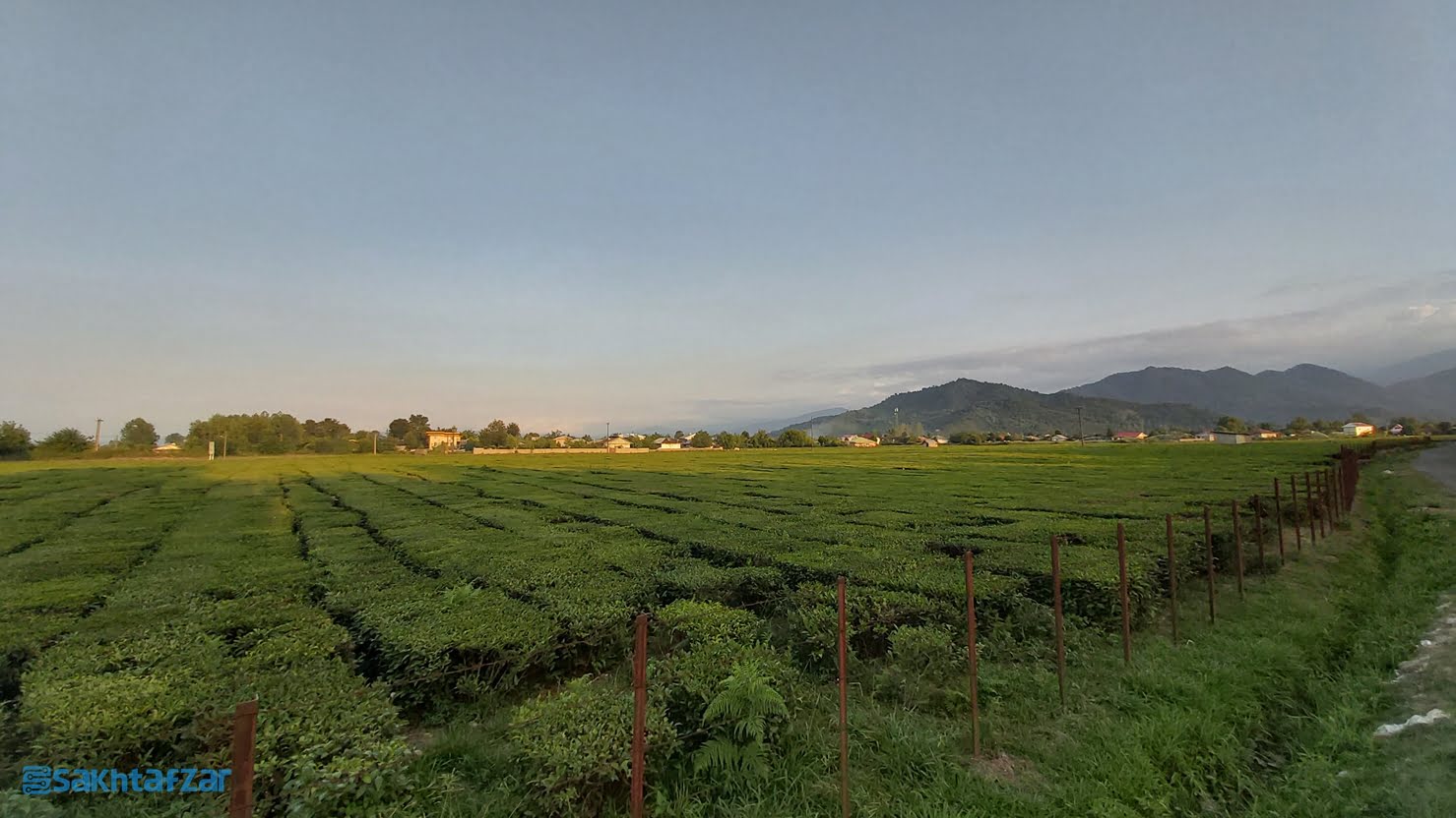 نمونه عکس دوربین گوشی گلکسی A70 سامسونگ