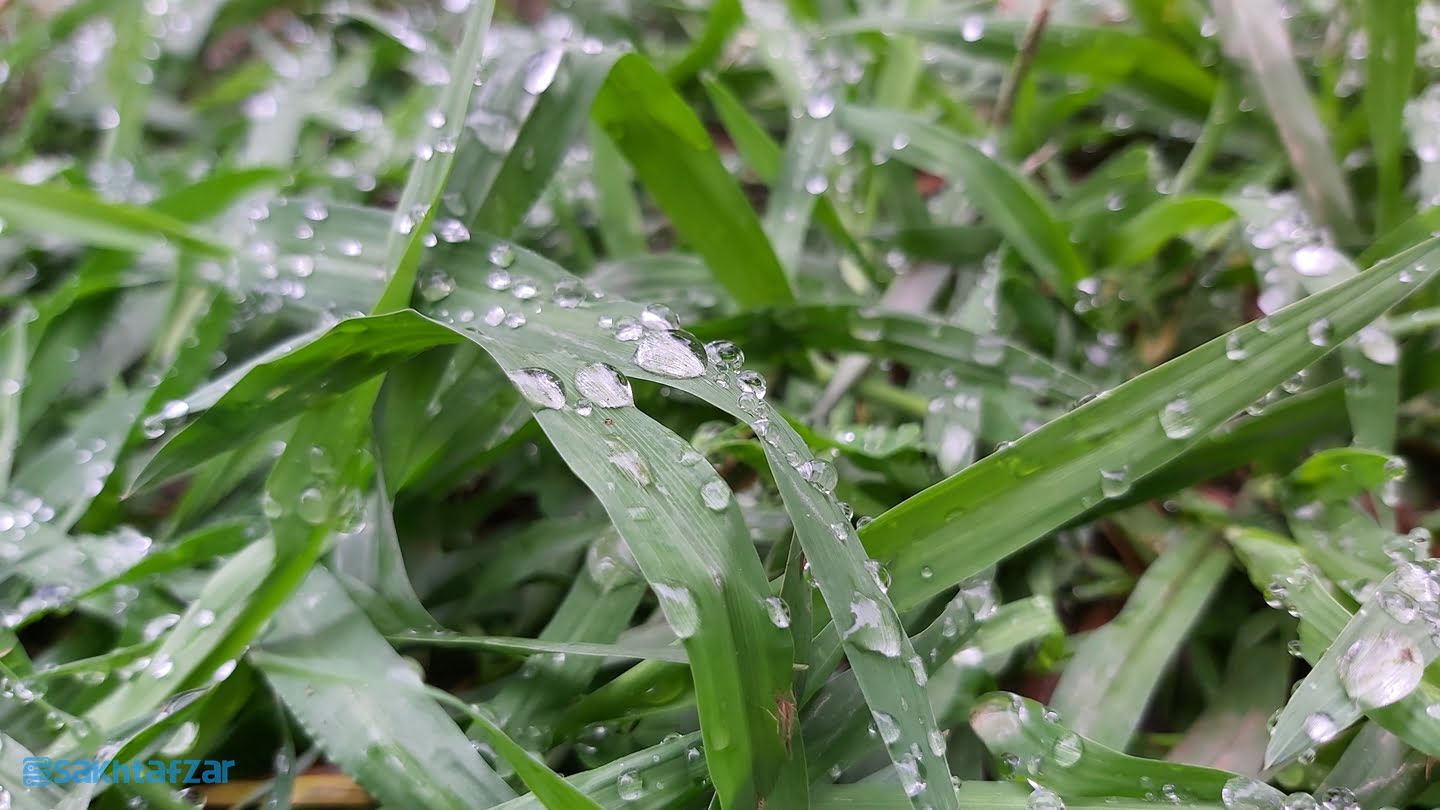 نمونه عکس دوربین گوشی گلکسی A70 سامسونگ