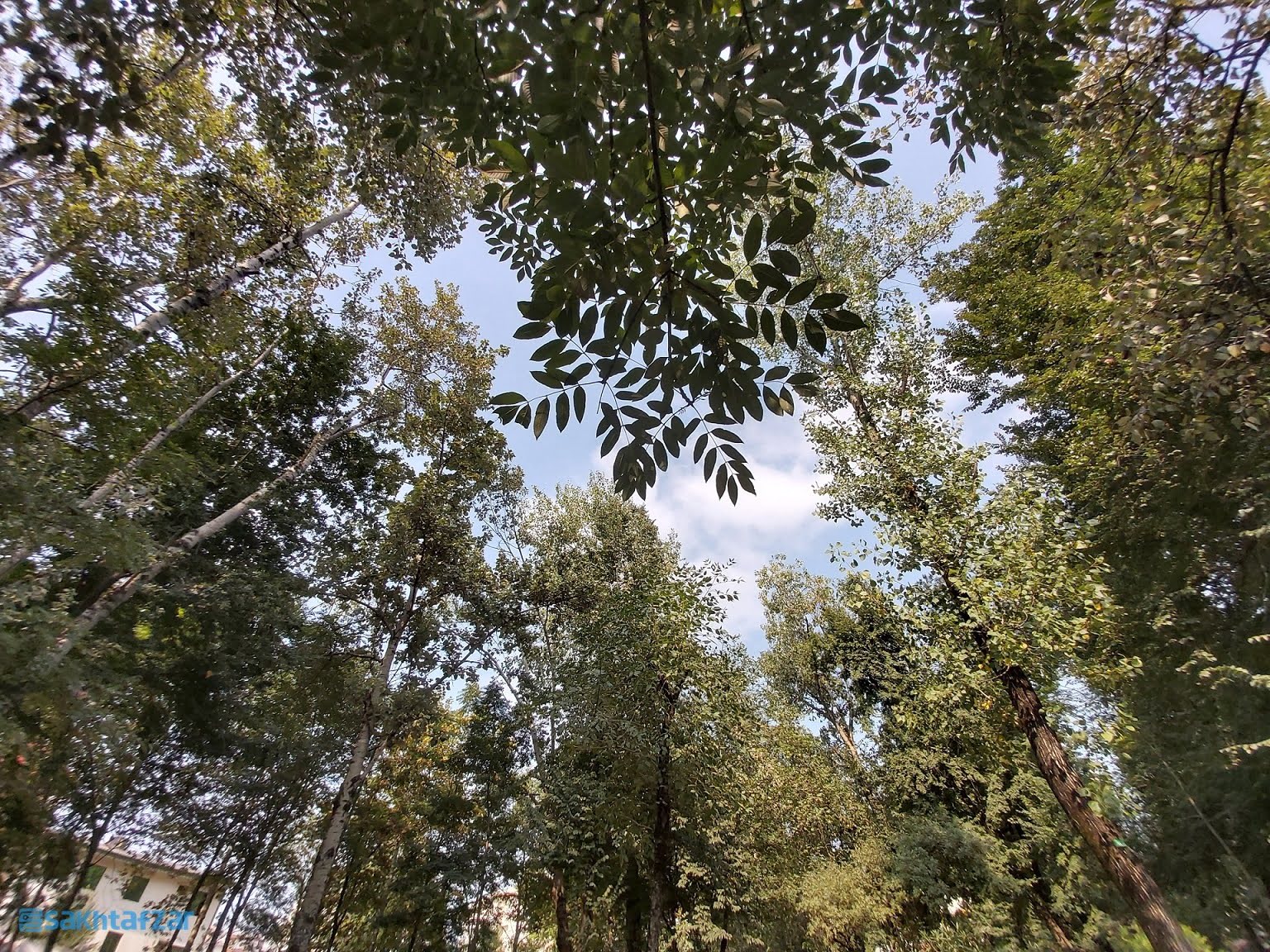 نمونه عکس گوشی گلکسی A80 سامسونگ