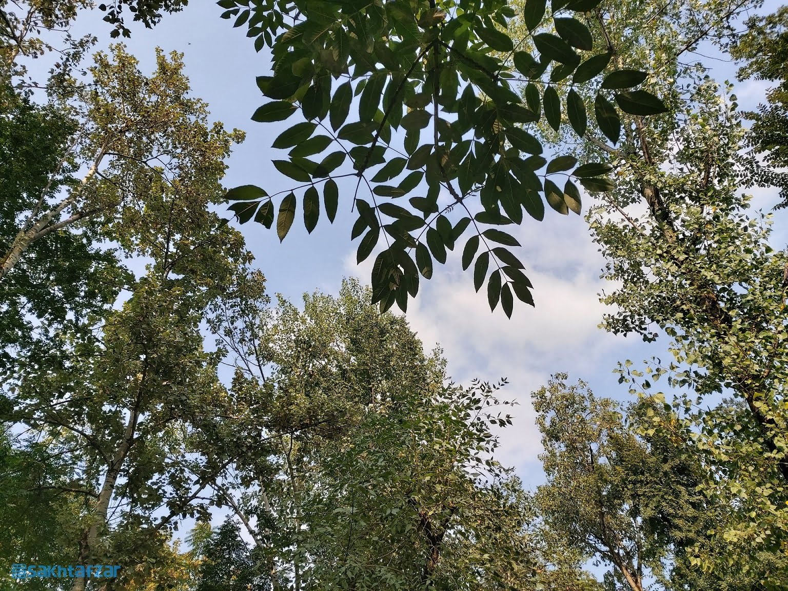 نمونه عکس گوشی گلکسی A80 سامسونگ