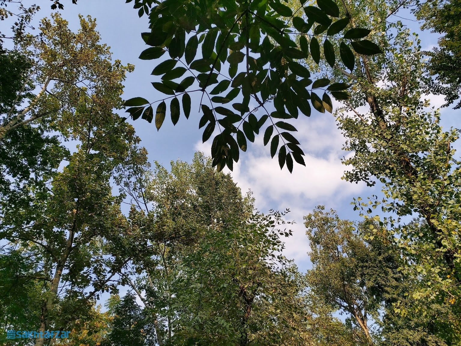 نمونه عکس گوشی گلکسی A80 سامسونگ