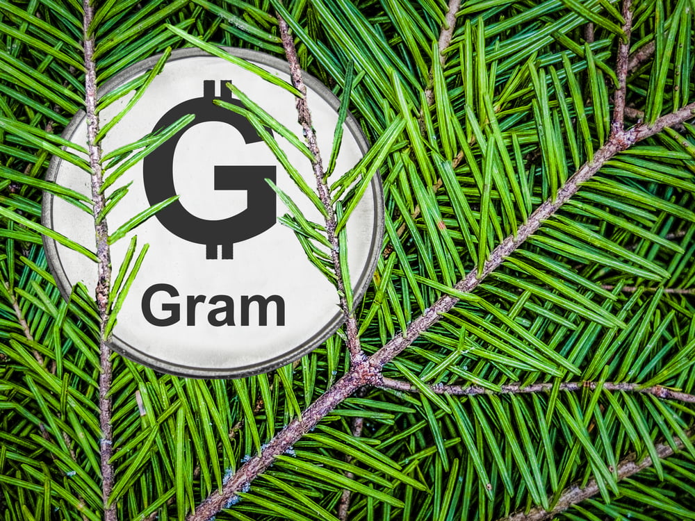 ارز دیجیتال Gram از تلگرام