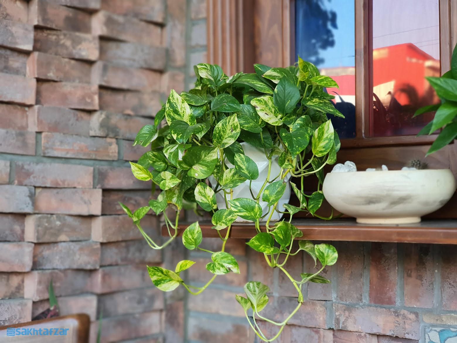 نمونه عکس گلکسی نوت 10 پلاس سامسونگ