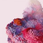 Galaxy-S20-Wallpapers-1