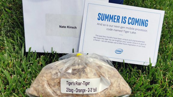 کیت بازاریابی Tiger Lake