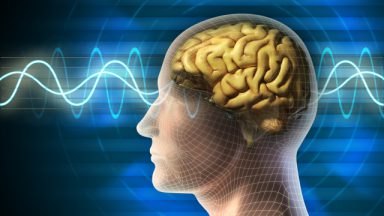 پیش بینی تشنج صرع توسط الگوریتم یادگیری ماشین