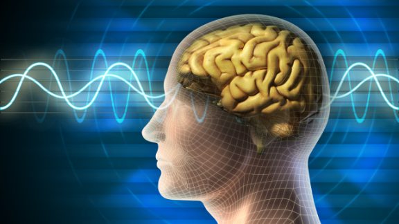 پیش بینی تشنج صرع توسط الگوریتم یادگیری ماشین