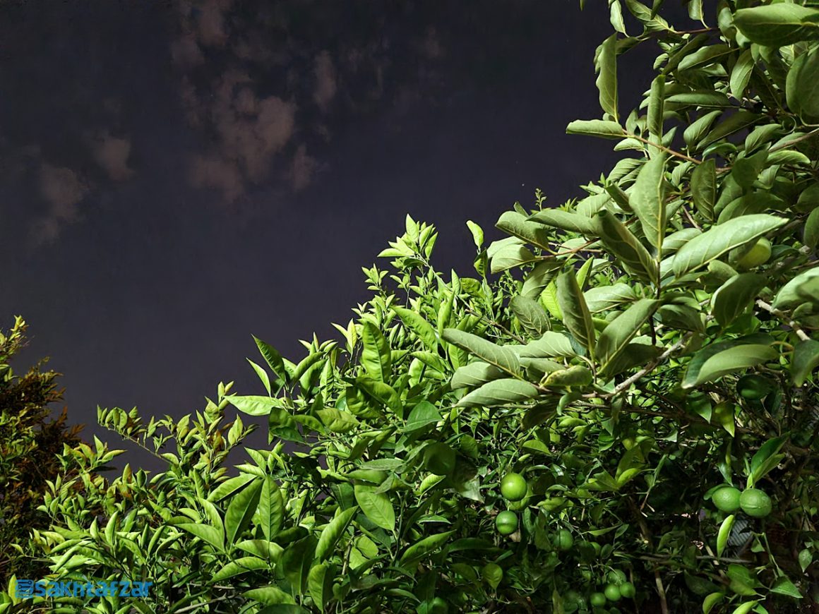 نمونه عکس دوربین گلکسی نوت 20 اولترا سامسونگ