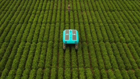 ربات کشاورز شرکت آلفابت