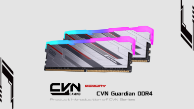 حافظه COLORFUL CVN Guardian