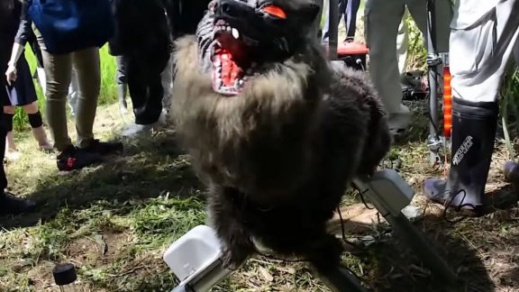 ربات گرگ نمای ژاپنی – برنده جنگ خرس و انسان