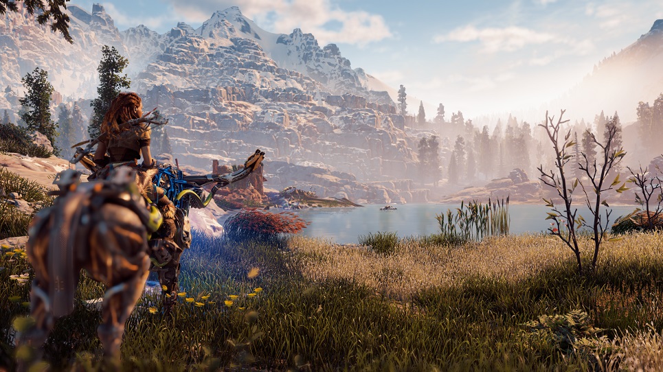 “Behnam” از بازی Horizon Zero Dawn
