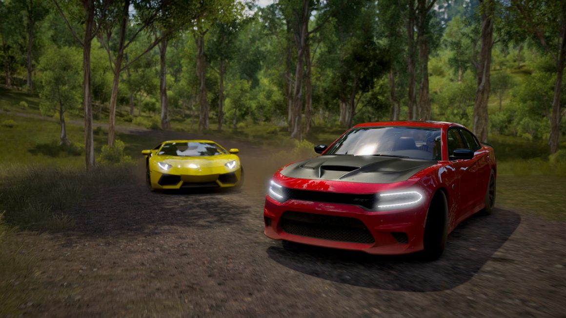 کاربر "Benhnam" - بازی Forza Horizon