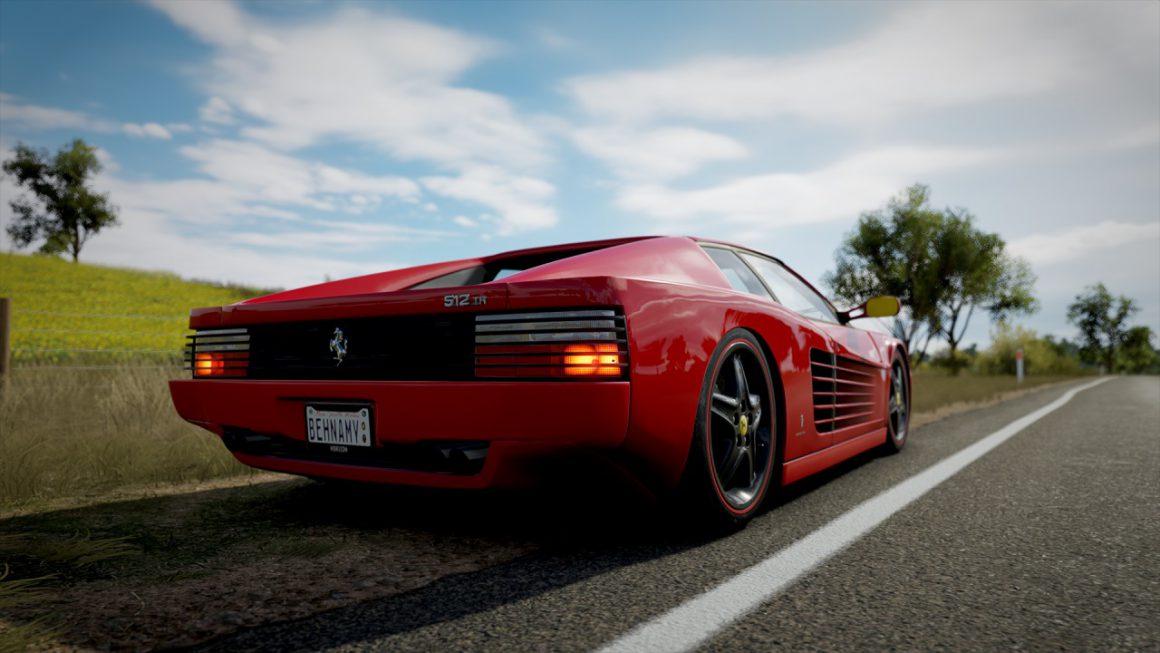 کاربر "Benhnam" - بازی Forza Horizon