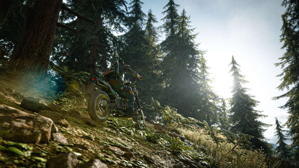 بازی Days Gone – کاربر JRRphotogamer8