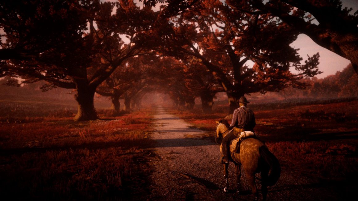 کاربر "AFK" - بازی Red Dead Redemption 2