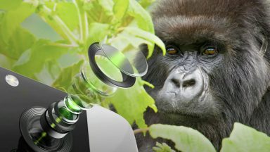 محافظ جدید گوریلا گلس برای لنز دوربین