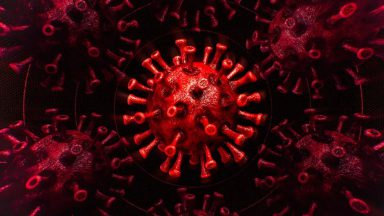 بکارگیری یادگیری ماشین در پزشکی و بزرگترین پایگاه داده کرونا در آمریکا