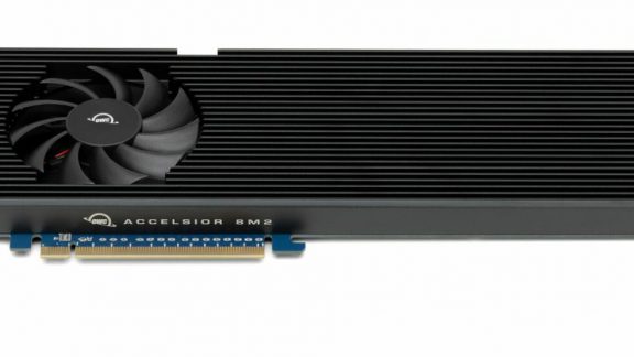 کارت توسعه دهنده Accelsior 8M2