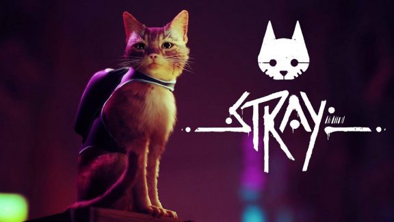 عرضه بازی Stray برای تابستان امسال