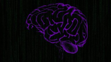 تکامل هوش مصنوعی نیازمند چه مواردی است؟