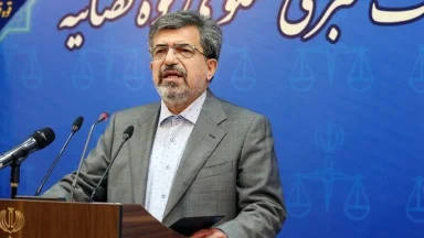 سخنگوی قوه قضائیه درباره پرونده دیجیکالا: گریبان توهین‌کنندگان را رها نمی‌کنیم