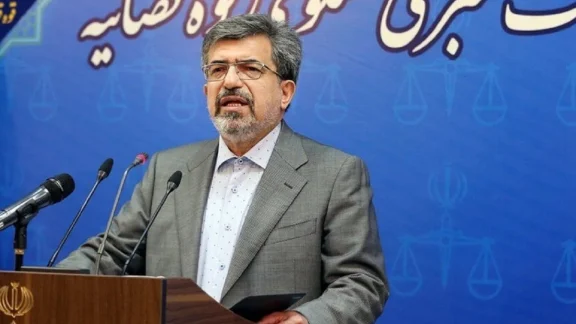 سخنگوی قوه قضائیه درباره پرونده دیجیکالا: گریبان توهین‌کنندگان را رها نمی‌کنیم