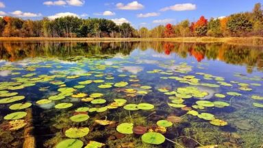 جاذبههای گردشگری انزلی