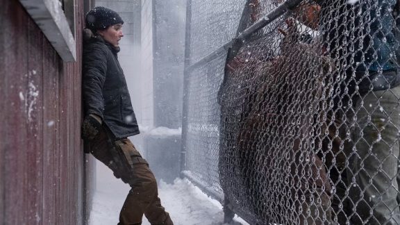 اپیزود دوم از فصل دوم The Last of Us