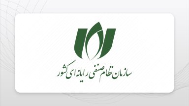 سازمان صنفی رایانهای ایران