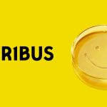 سریال Pluribus؛ اثر جدید گیلیگان