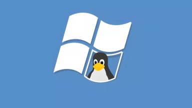 سازگاری لینوکس با بازی‌های ویندوز