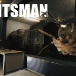 سیستم مورد نیاز بازی Huntsman