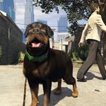 ماد حیوان برای بازی GTA V