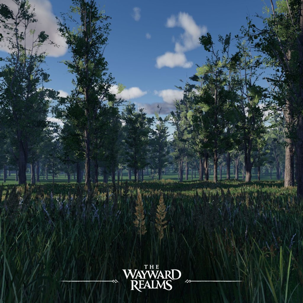 بازی The Wayward Realms