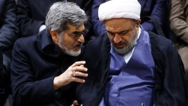 امضاکنندگان طرح مجلس برای فضای مجازی