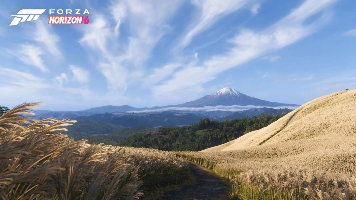 تصاویر بازی Forza Horizon 6_2