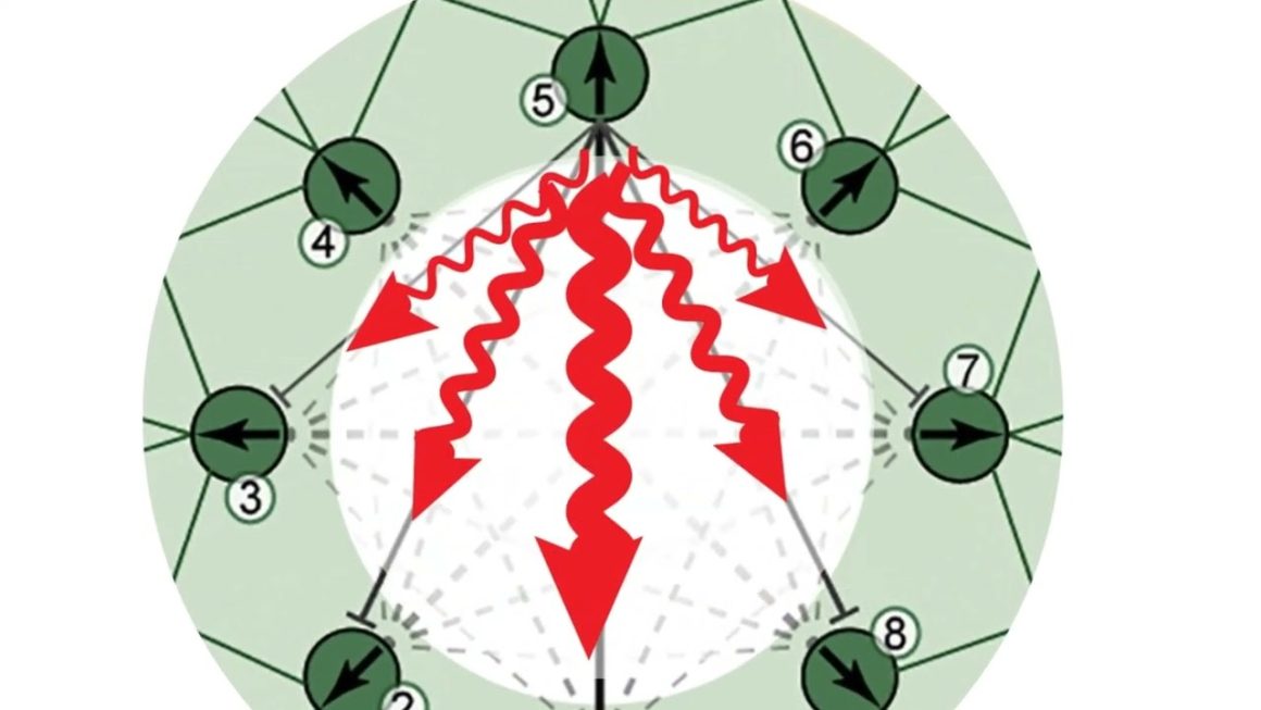 تراشه GPS از مغز زنبور عسل