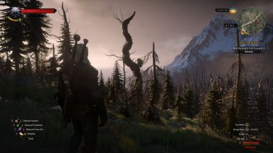 افزایش 35 درصدی فریم بازی Witcher 3 با درایور جدید اینتل