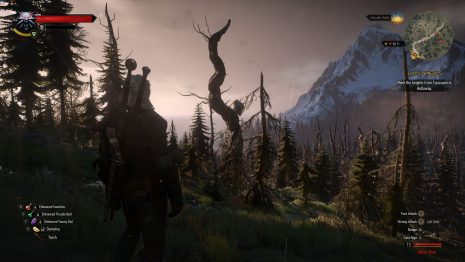 افزایش 35 درصدی فریم بازی Witcher 3 با درایور جدید اینتل